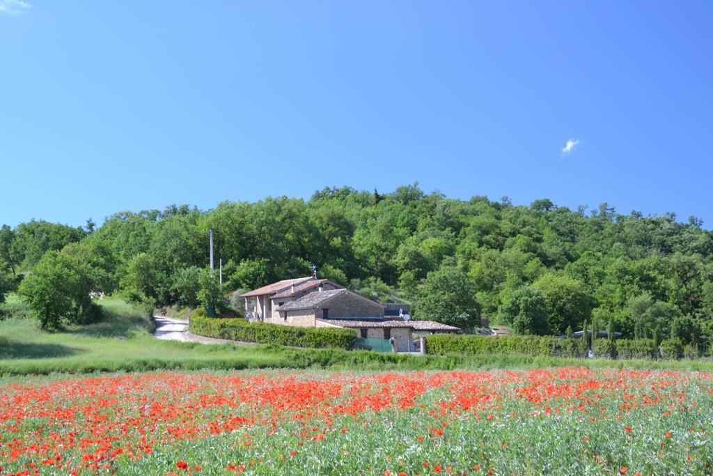 Casa Nestore Holiday Apartments Castiglione della Valle Dış mekan fotoğraf